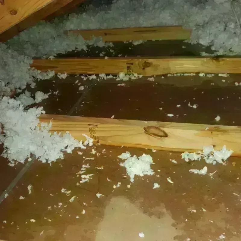 Attic Water Damage in Gumlog, GA