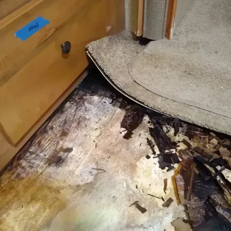 Wood Floor Water Damage in Gumlog, GA